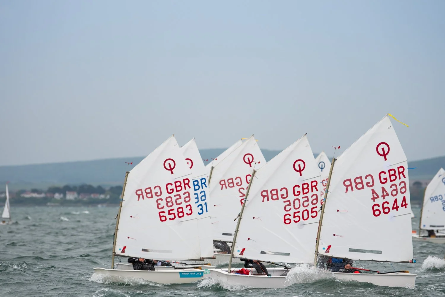 26020510 Optimist_DSC9511.jpg