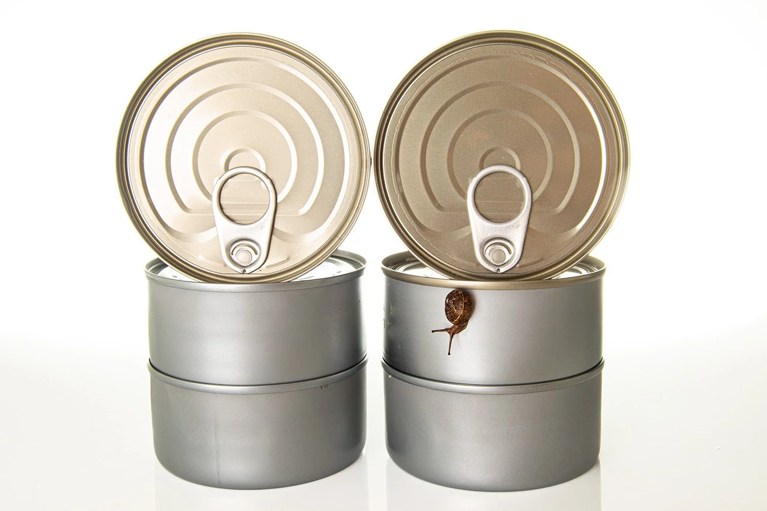 Cans 24020413 U2IrvinPennDSC_0021-Edit.jpg