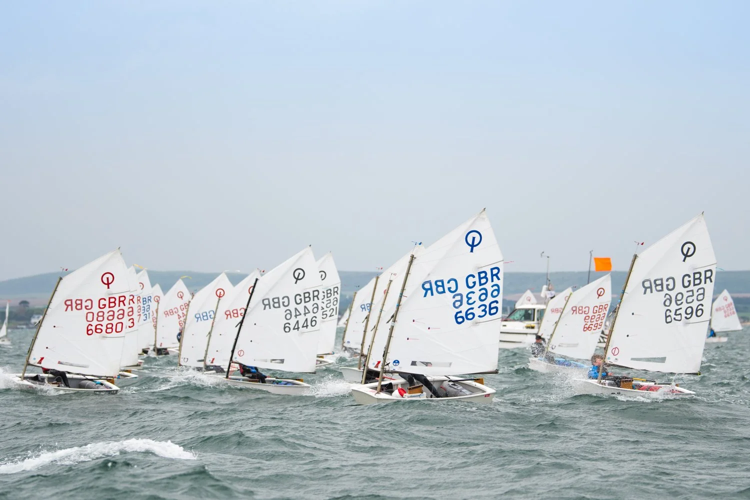 26020510 Optimist_DSC9548.jpg