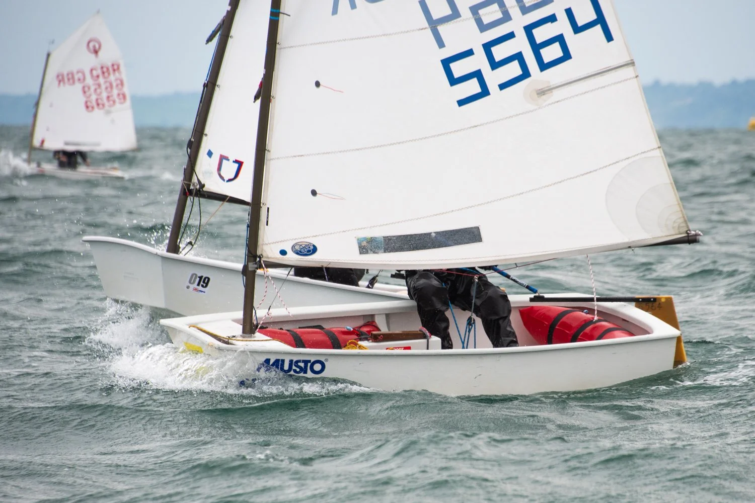 26020510 Optimist_DSC9239.jpg