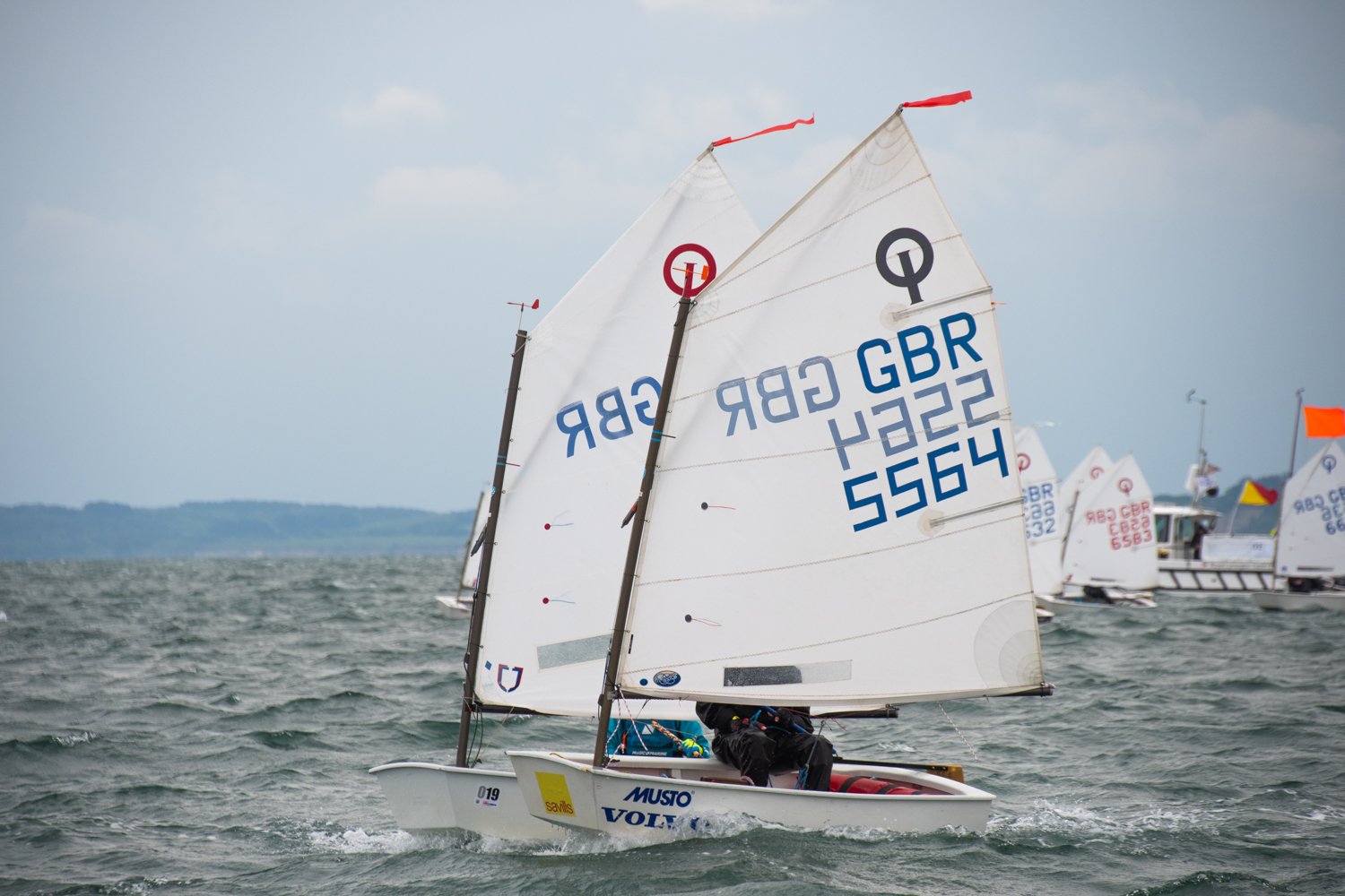 26020510 Optimist_DSC9238.jpg
