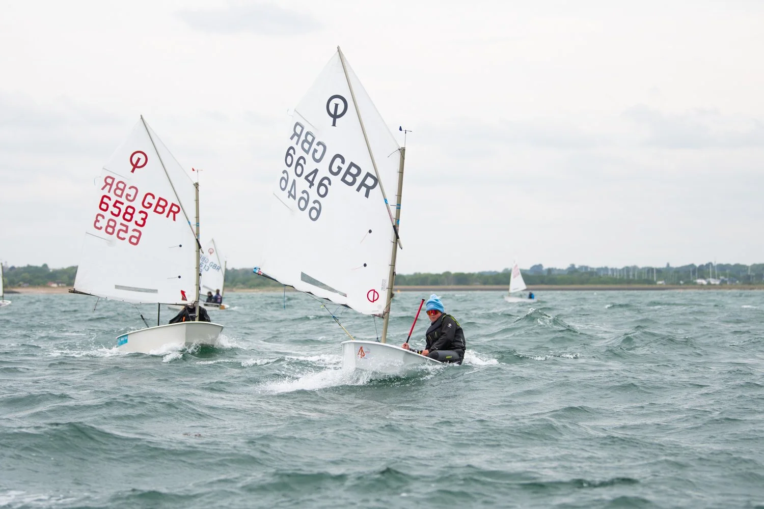 26020510 Optimist_DSC9660.jpg