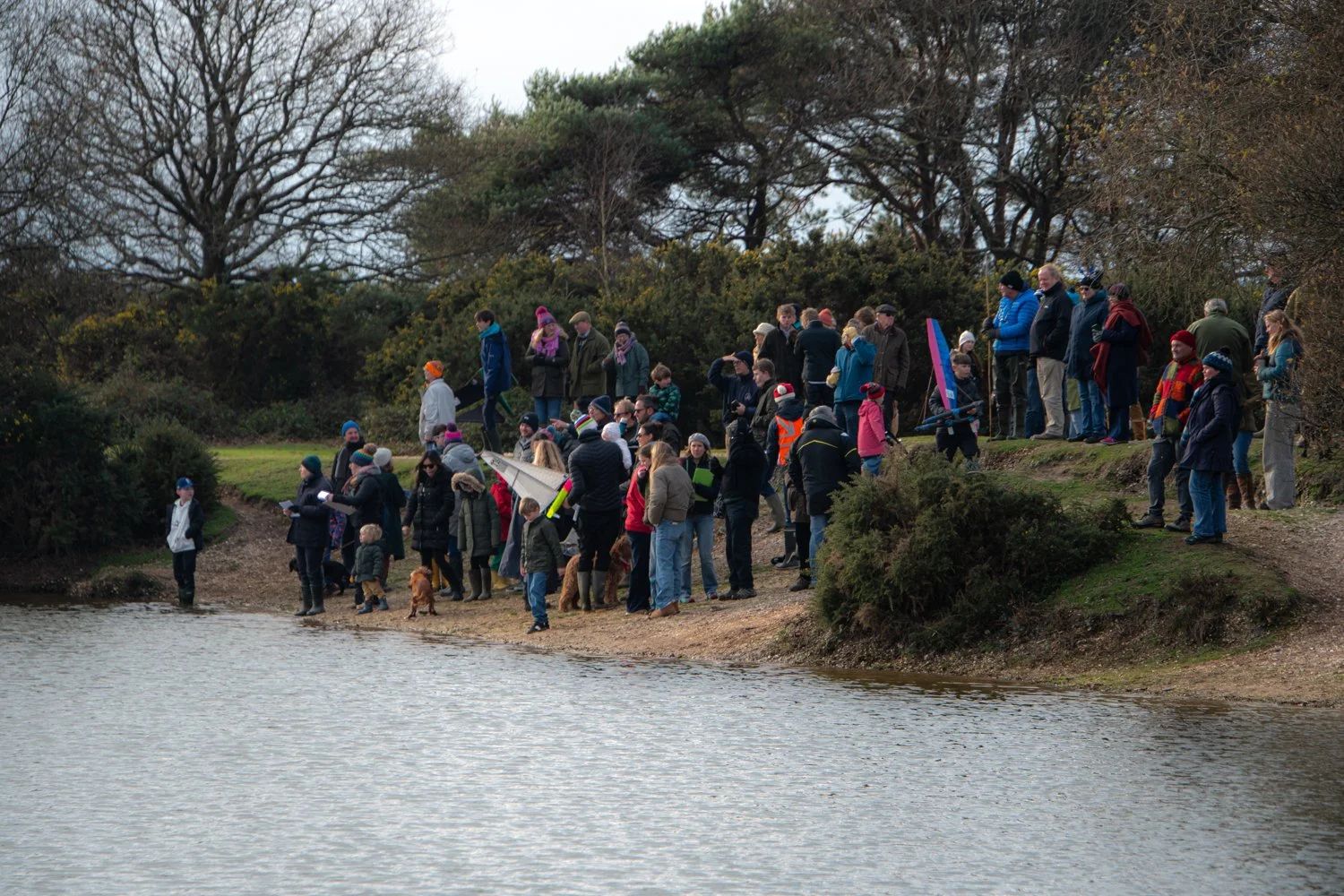 HaywardT-25021226 SetleyTHPAF_7915.jpg