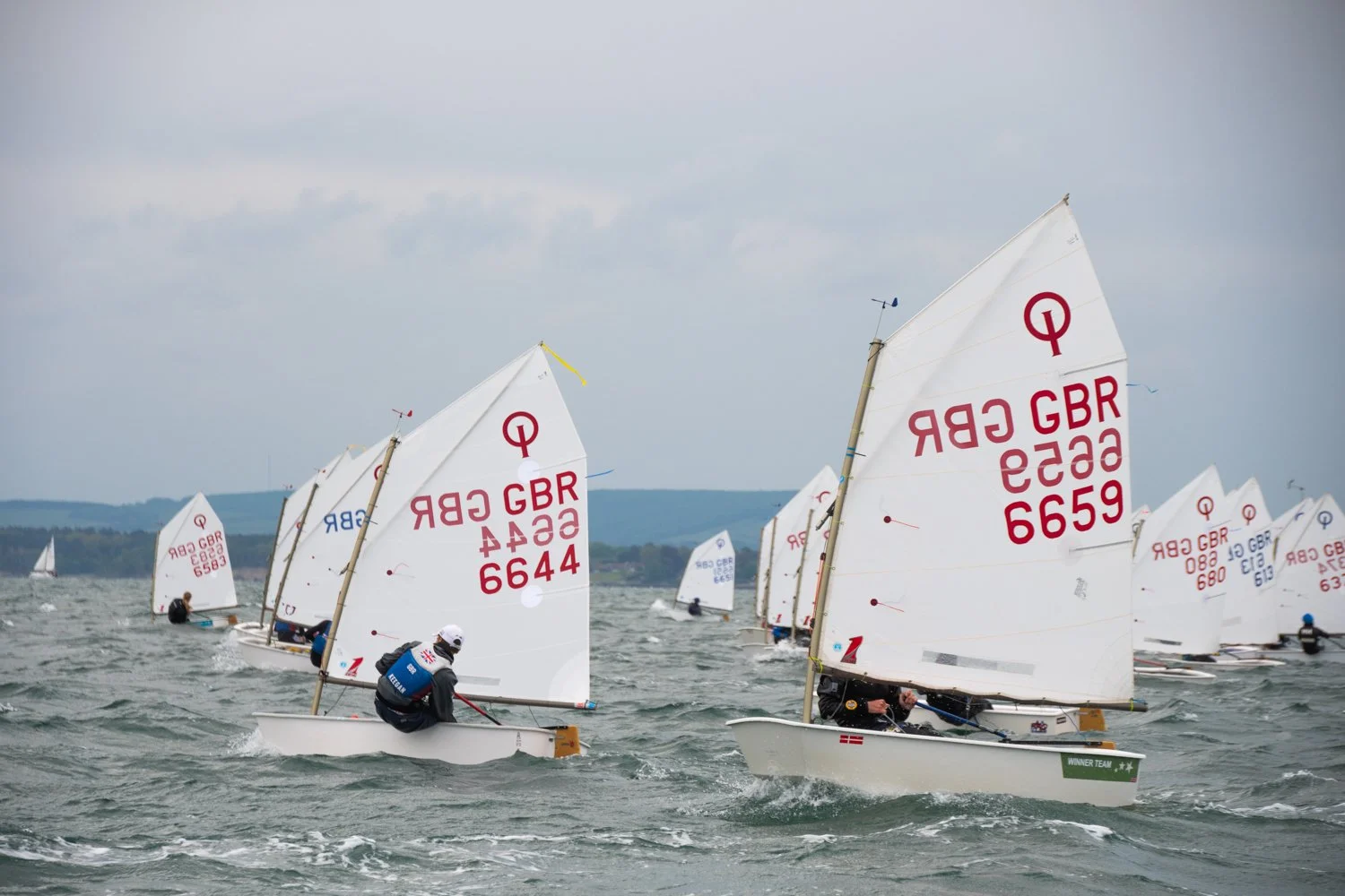 26020510 Optimist_DSC9276.jpg