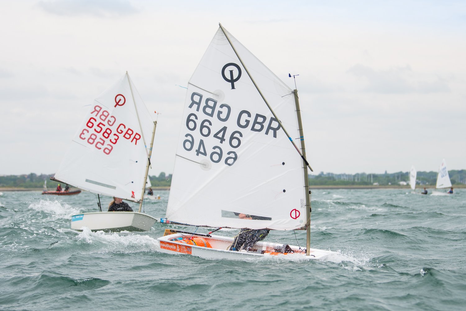 26020510 Optimist_DSC9666.jpg
