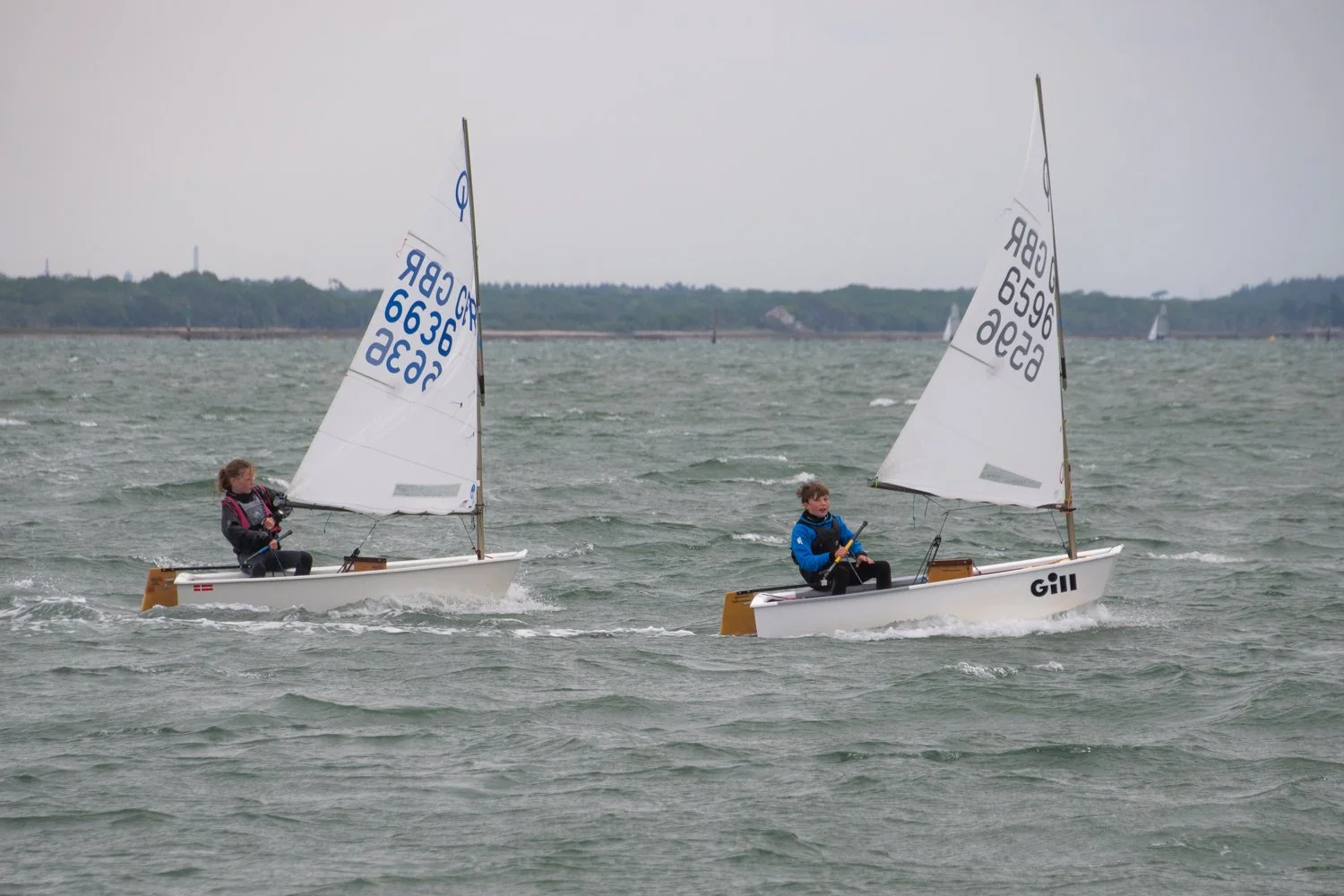 26020510 Optimist_DSC9332.jpg