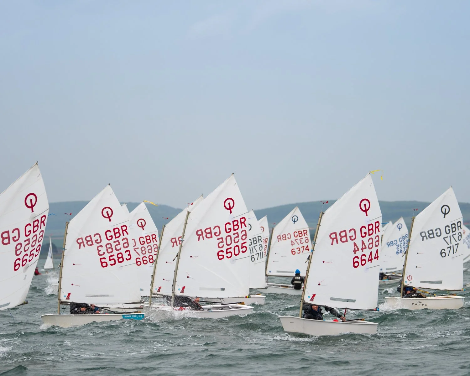 26020510 Optimist_DSC9513.jpg