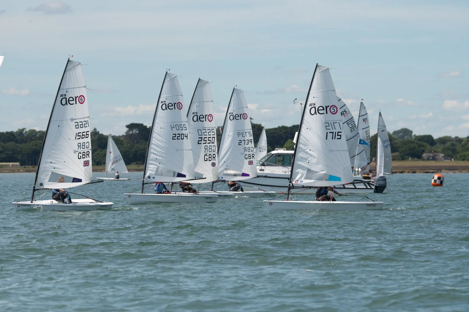 HaywardT-26020620 LymDinghyReg_DSC0806.jpg