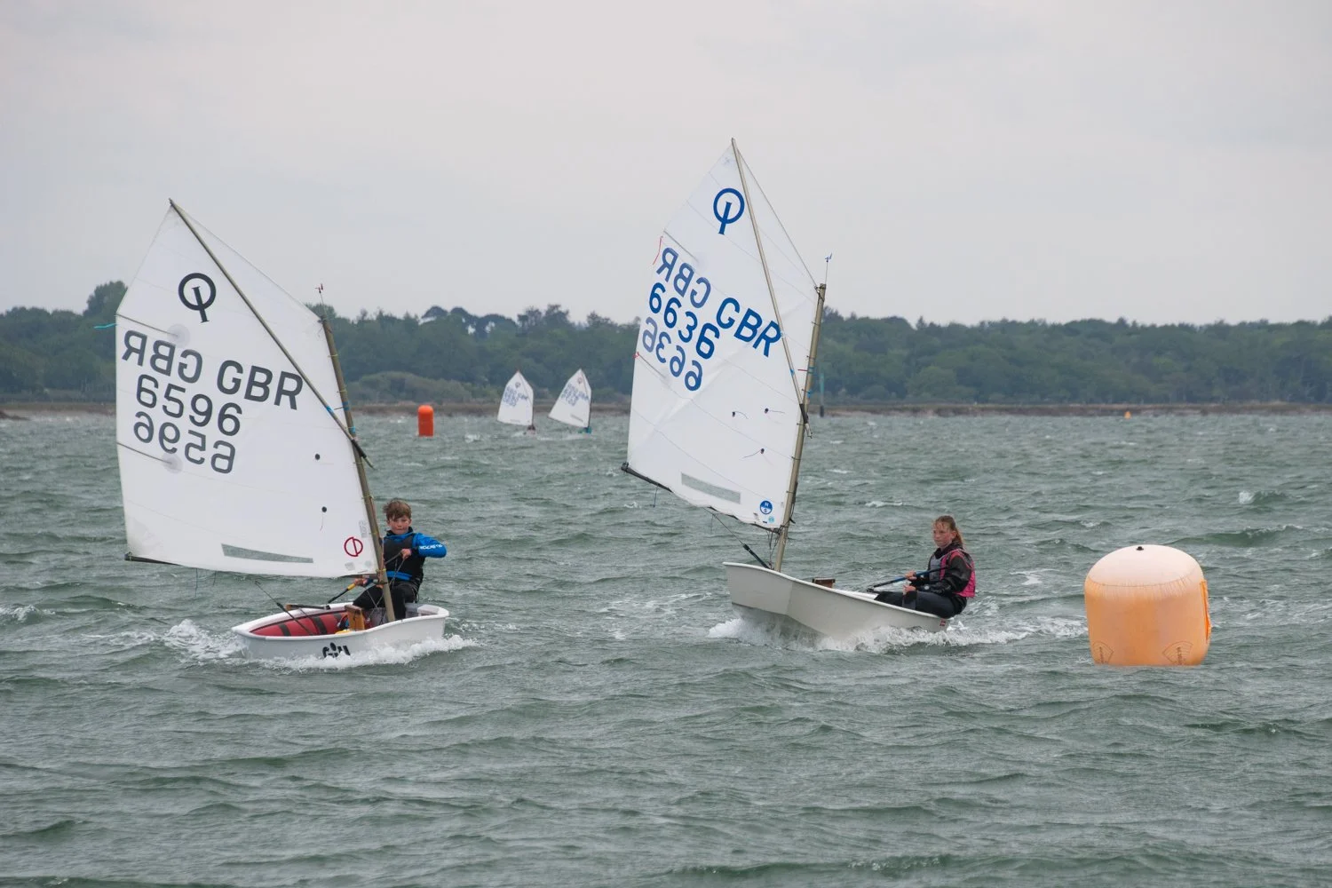 26020510 Optimist_DSC9325.jpg