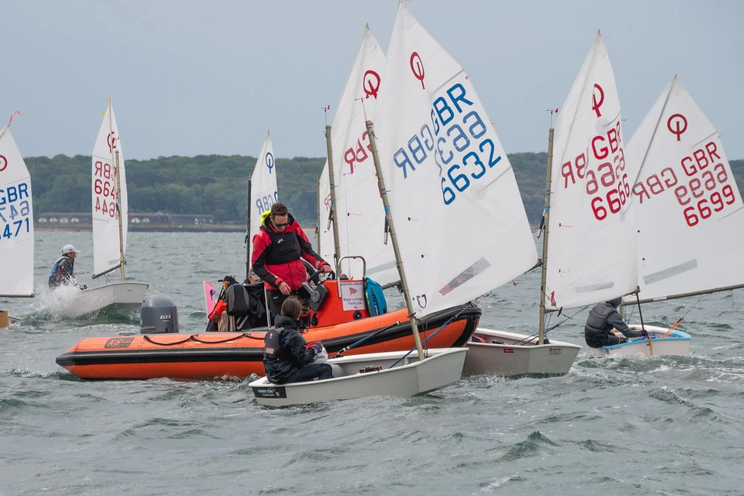 26020510 Optimist_DSC9171.jpg
