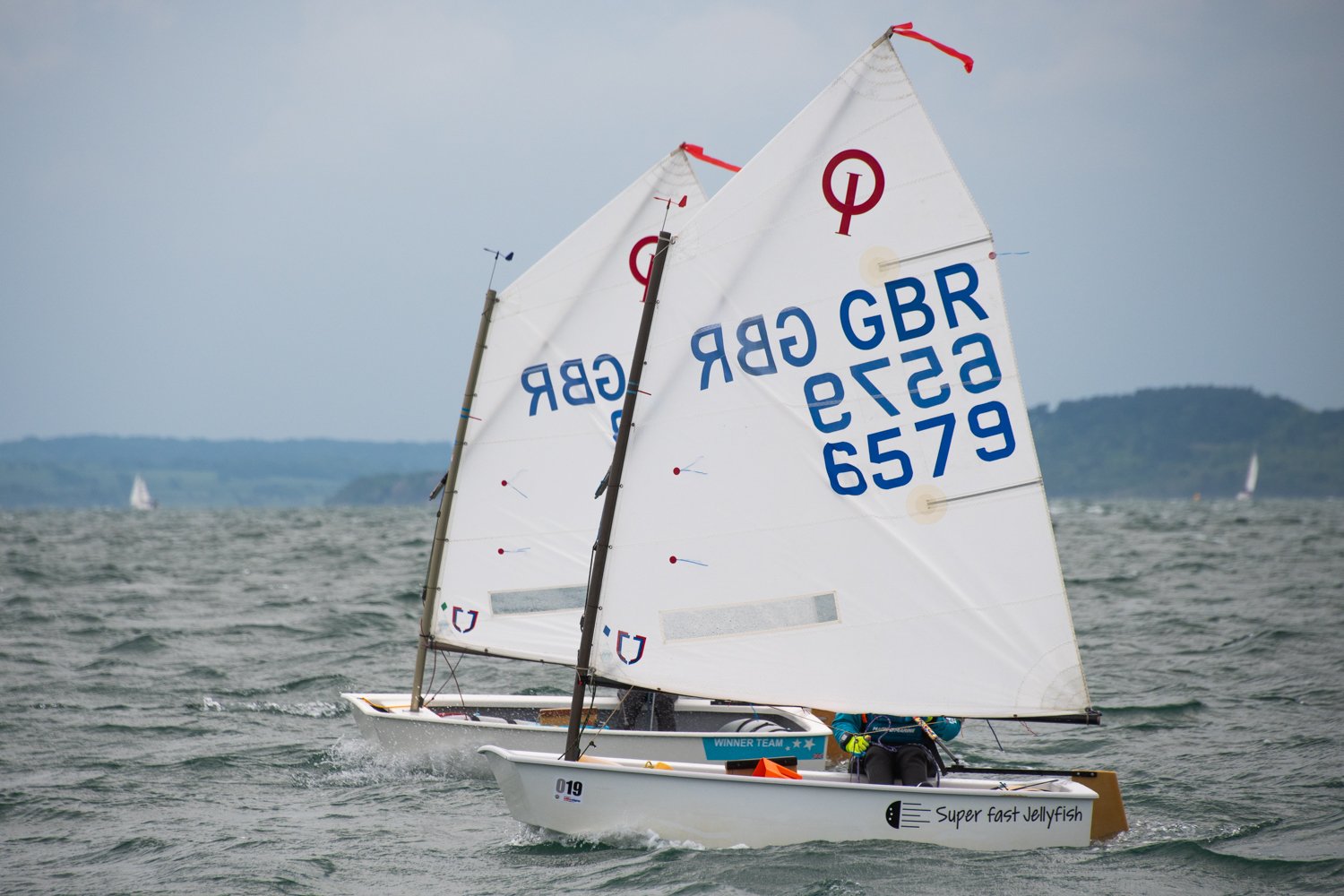26020510 Optimist_DSC9278.jpg