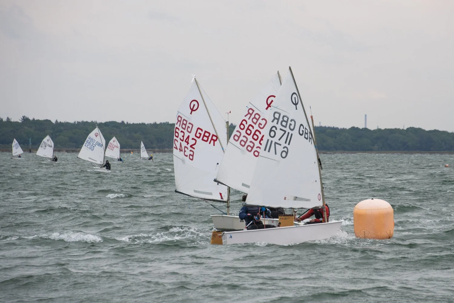 26020510 Optimist_DSC9301.jpg