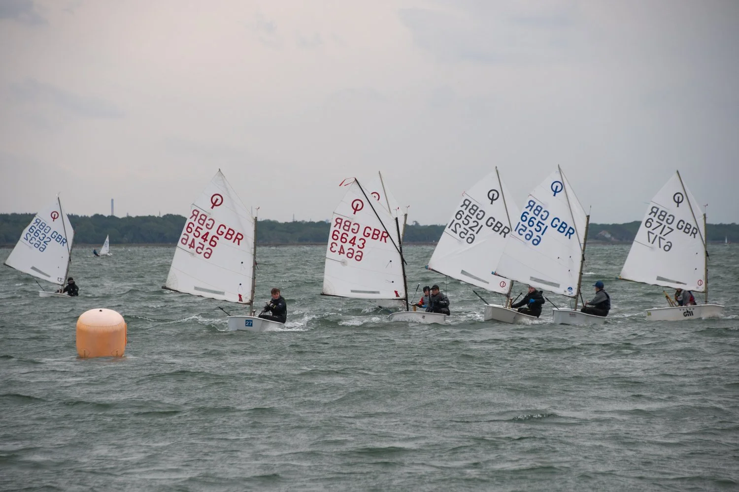 26020510 Optimist_DSC9310.jpg