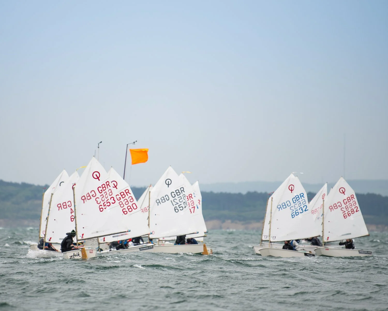 26020510 Optimist_DSC9537.jpg