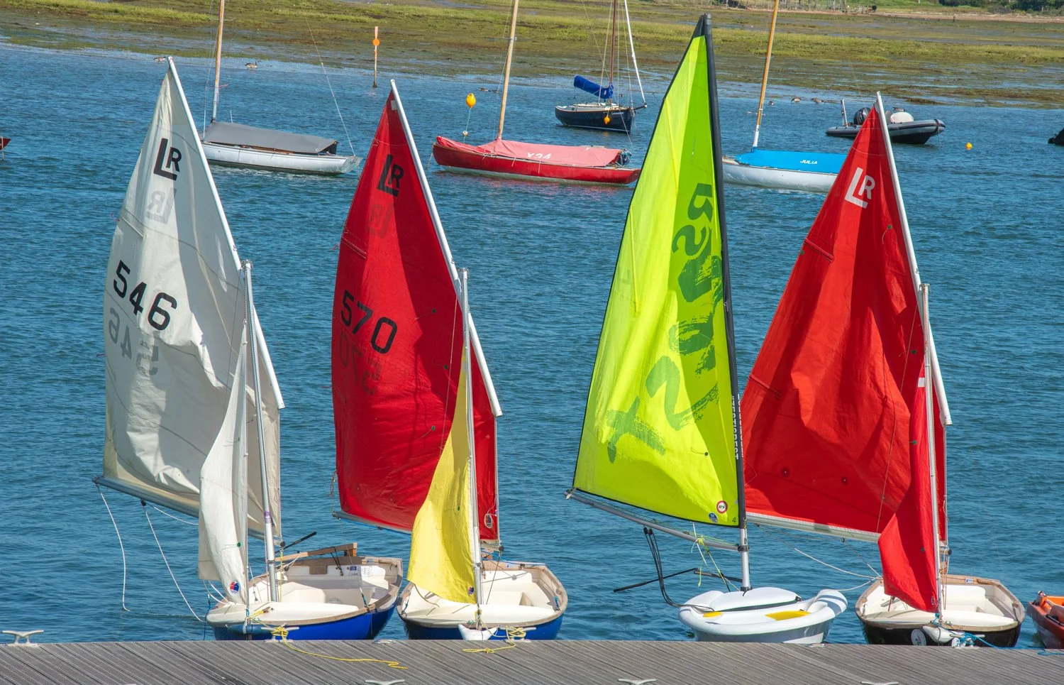 HaywardT-26020729 RLYMYC-WJS_DSC2255.jpg