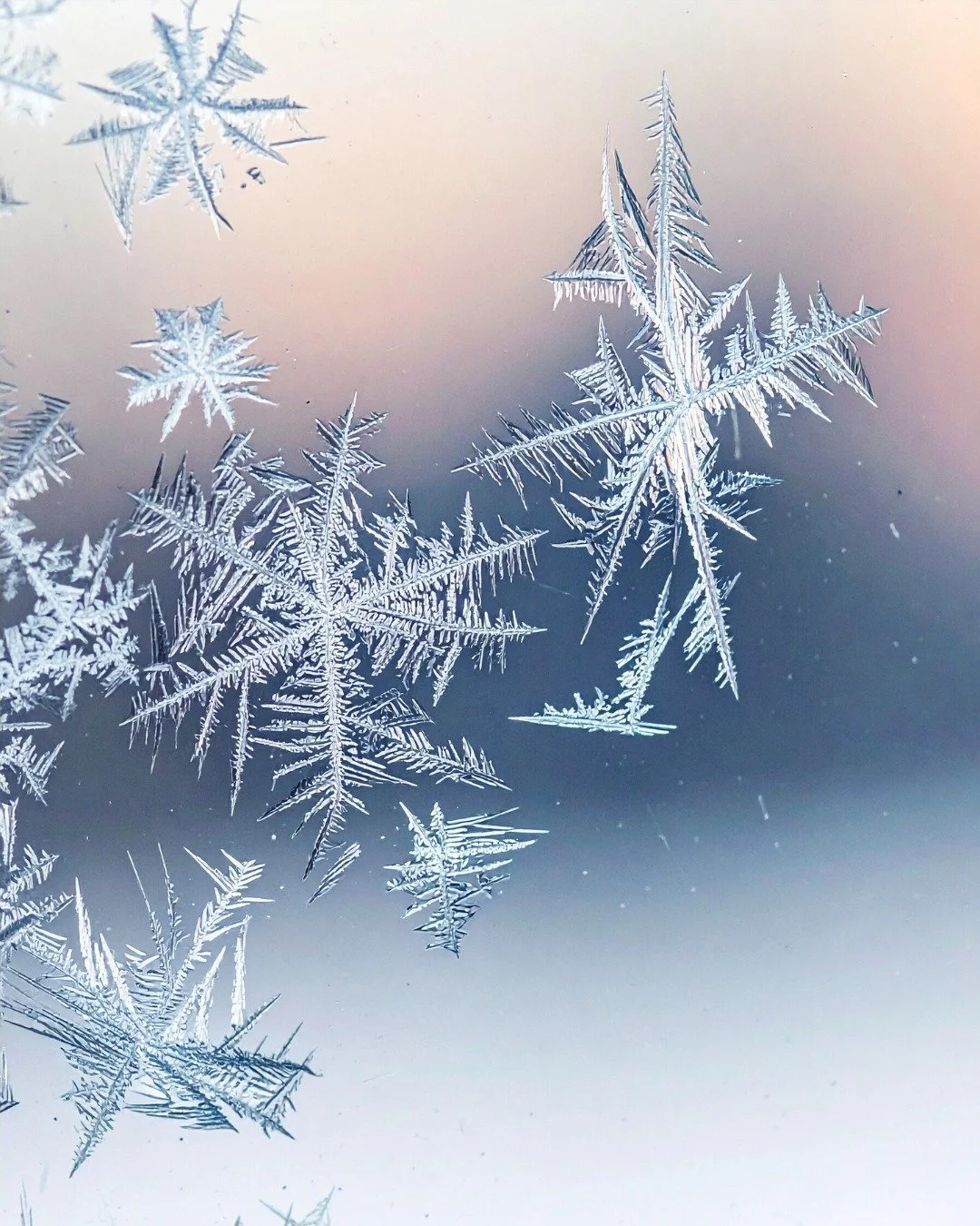 Wishing you a peaceful Winter Solstice.

Today marks a turning point, the return of light, and a reminder that small shifts truly do add up.

May you find warmth in simple rituals, calm in quiet moments, and space to exhale as the days grow brighter.