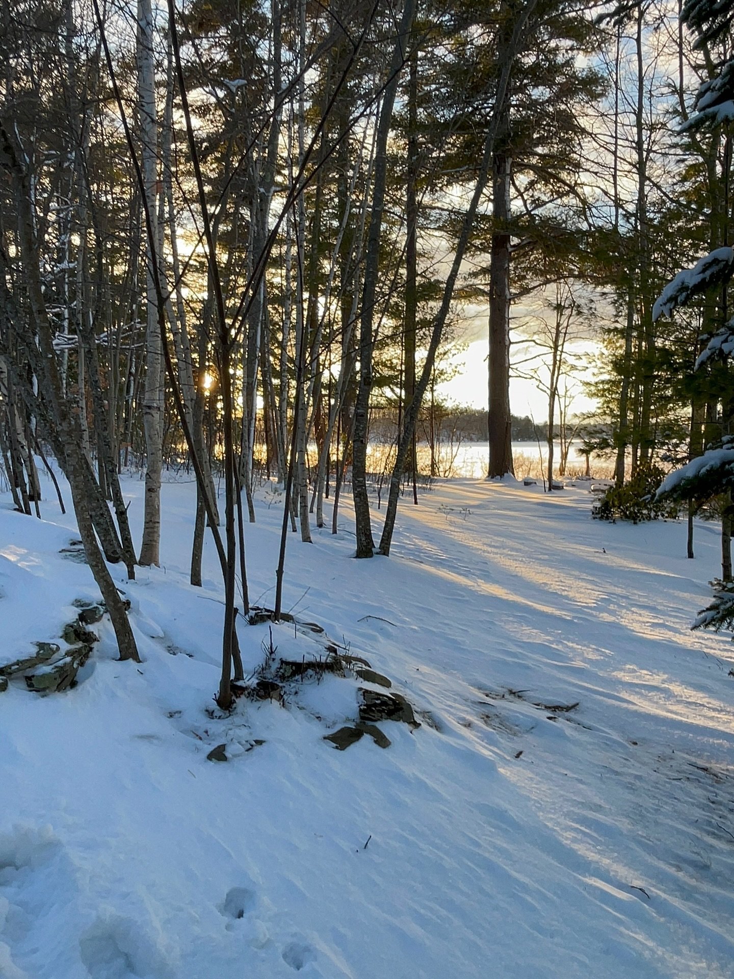 Merry Christmas from the PsycHope family to you and yours. Sending wishes of Peace on Earth and calm, healing moments just for you 🩵🤍