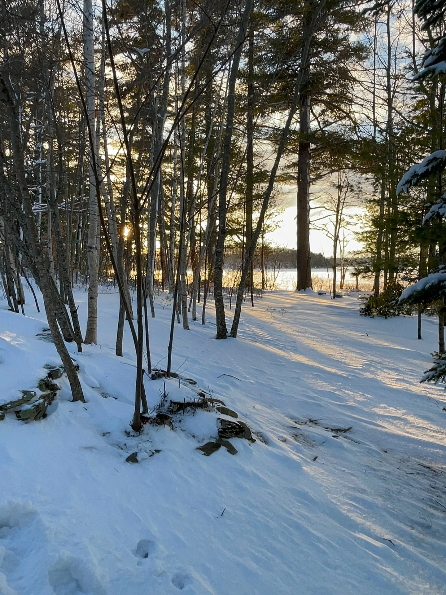 Merry Christmas from the PsycHope family to you and yours. Sending wishes of Peace on Earth and calm, healing moments just for you 🩵🤍