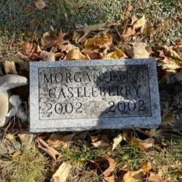 Headstone-and-Blooms-Gravestone-cleaning-castleberry-before.jpg