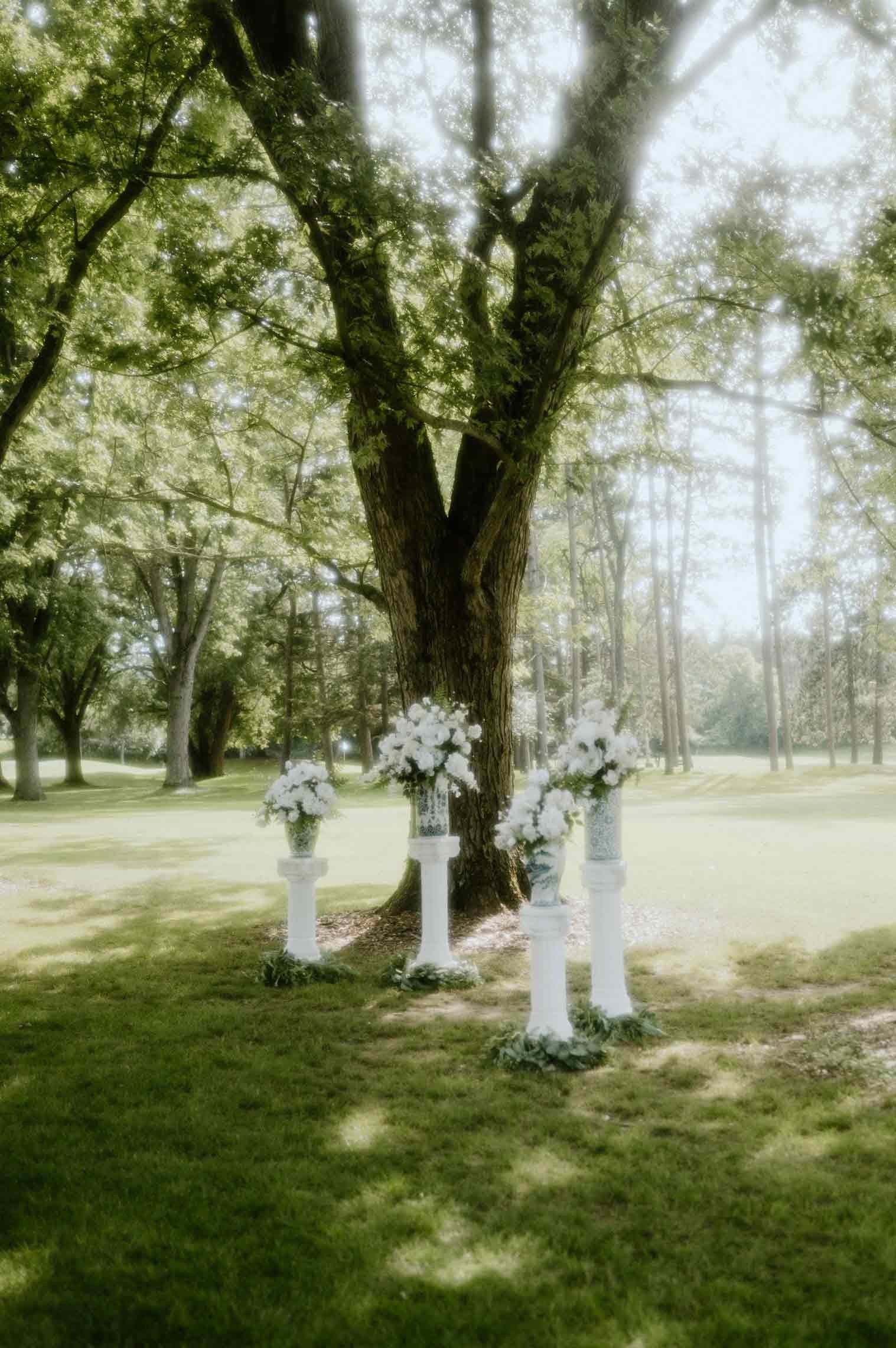 timeless-wedding-ceremony-setup.jpg