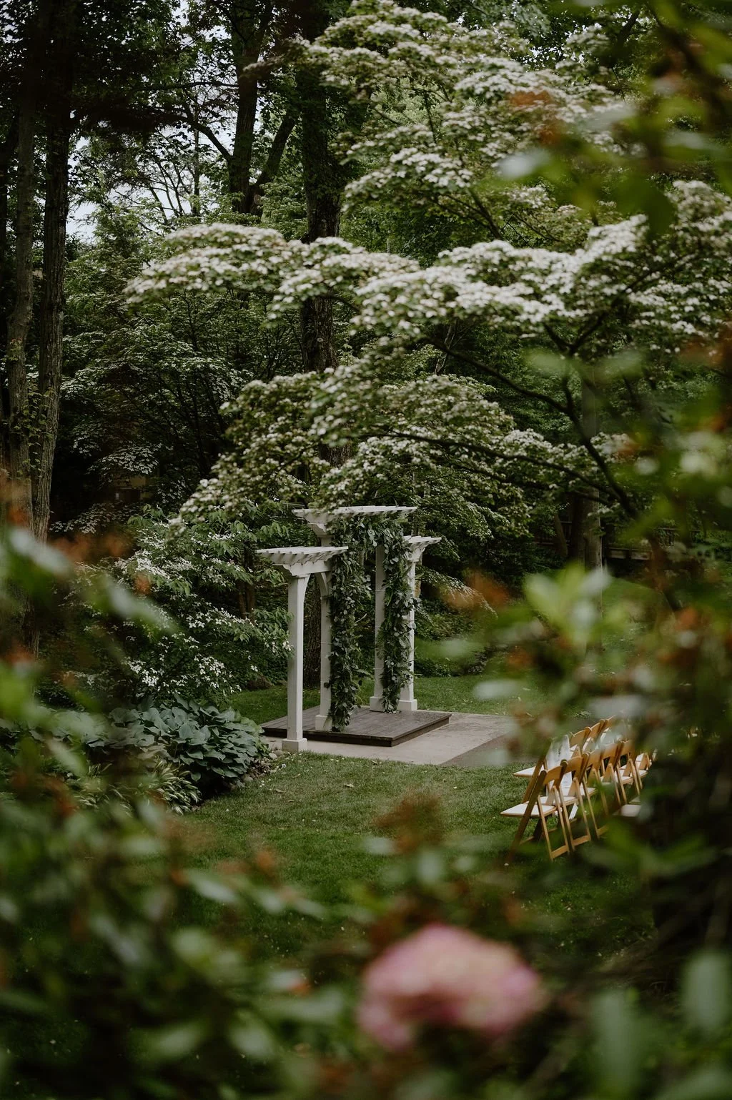 pommeradnor-4.jpg