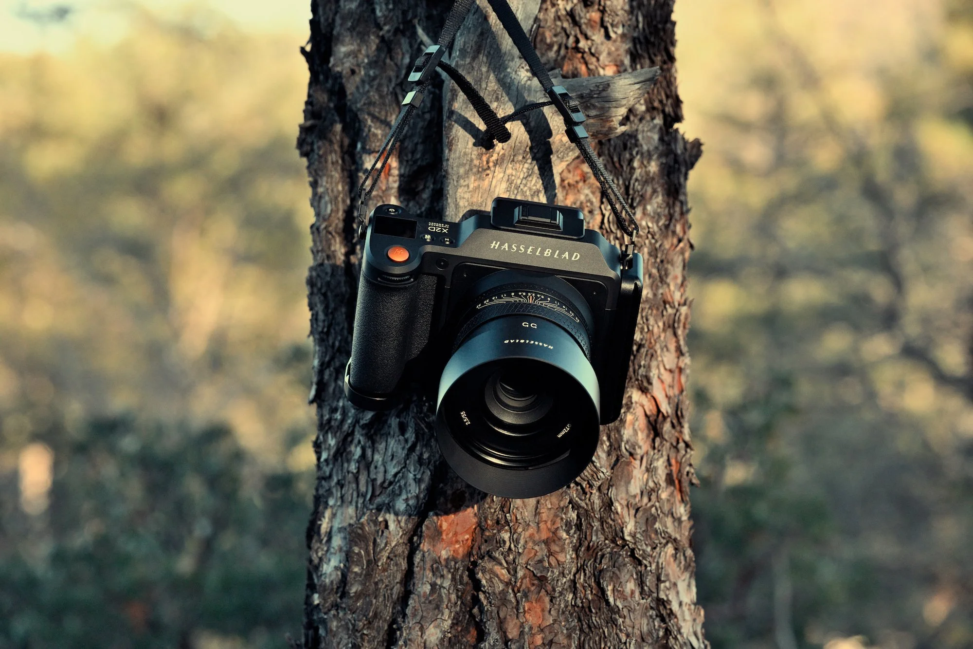 Hasselblad X2D Alt 001 copy.jpg