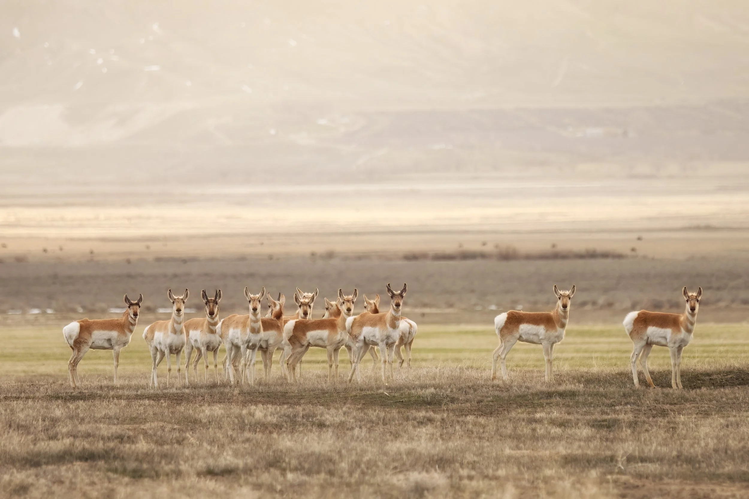 _UTH7587-topaz-denoise_PS_SUN copy.jpg