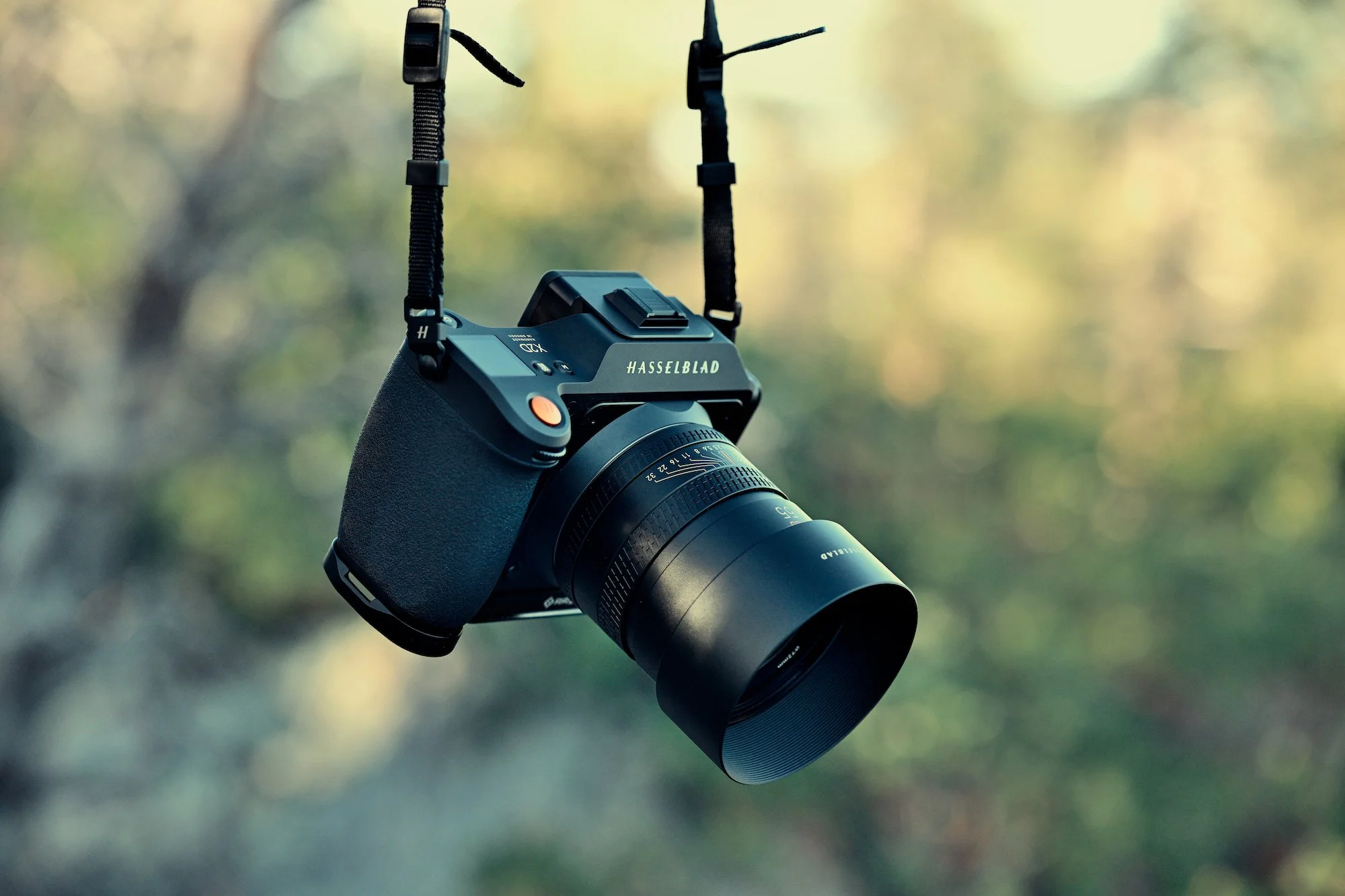 Hasselblad X2D Alt 002 copy.jpg