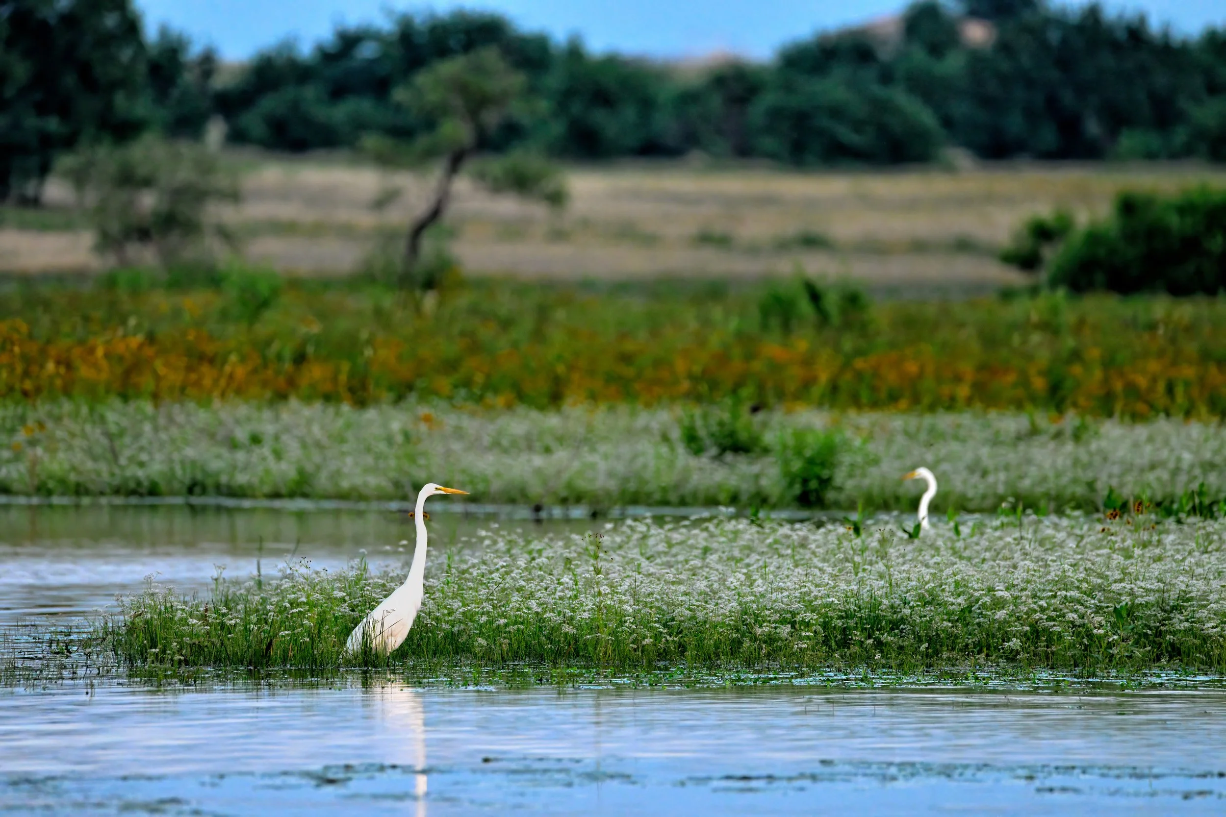 _HIT8247-DeNoiseAI-severe-noise_PS copy.jpg