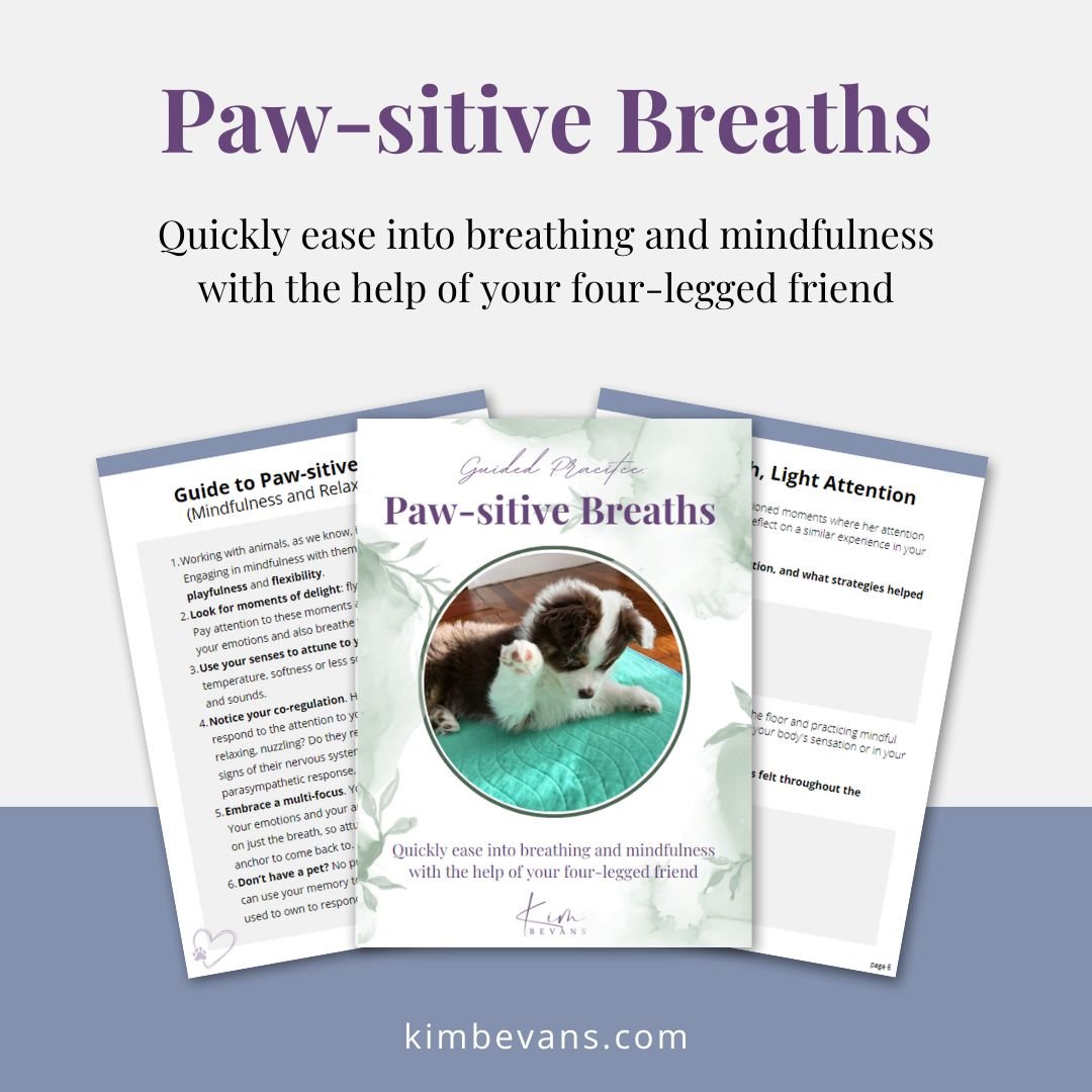 Paw-sitive Breaths Mockup.jpg
