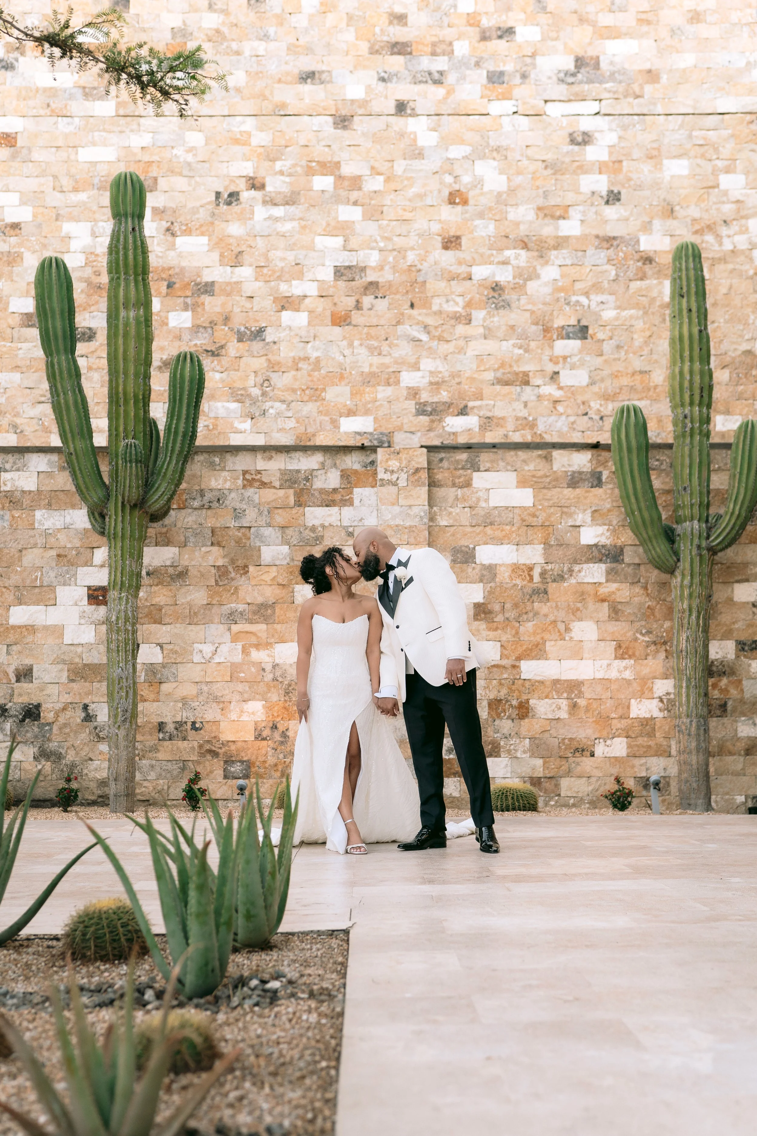Los Cabos, Mexico | Nicole & Mikal (Mexico)