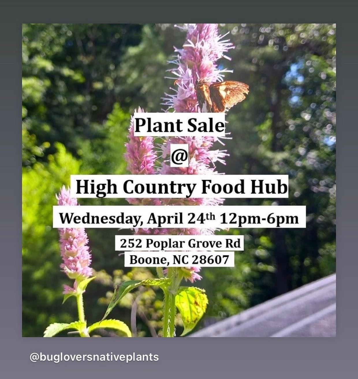 Plant Sale!!!!