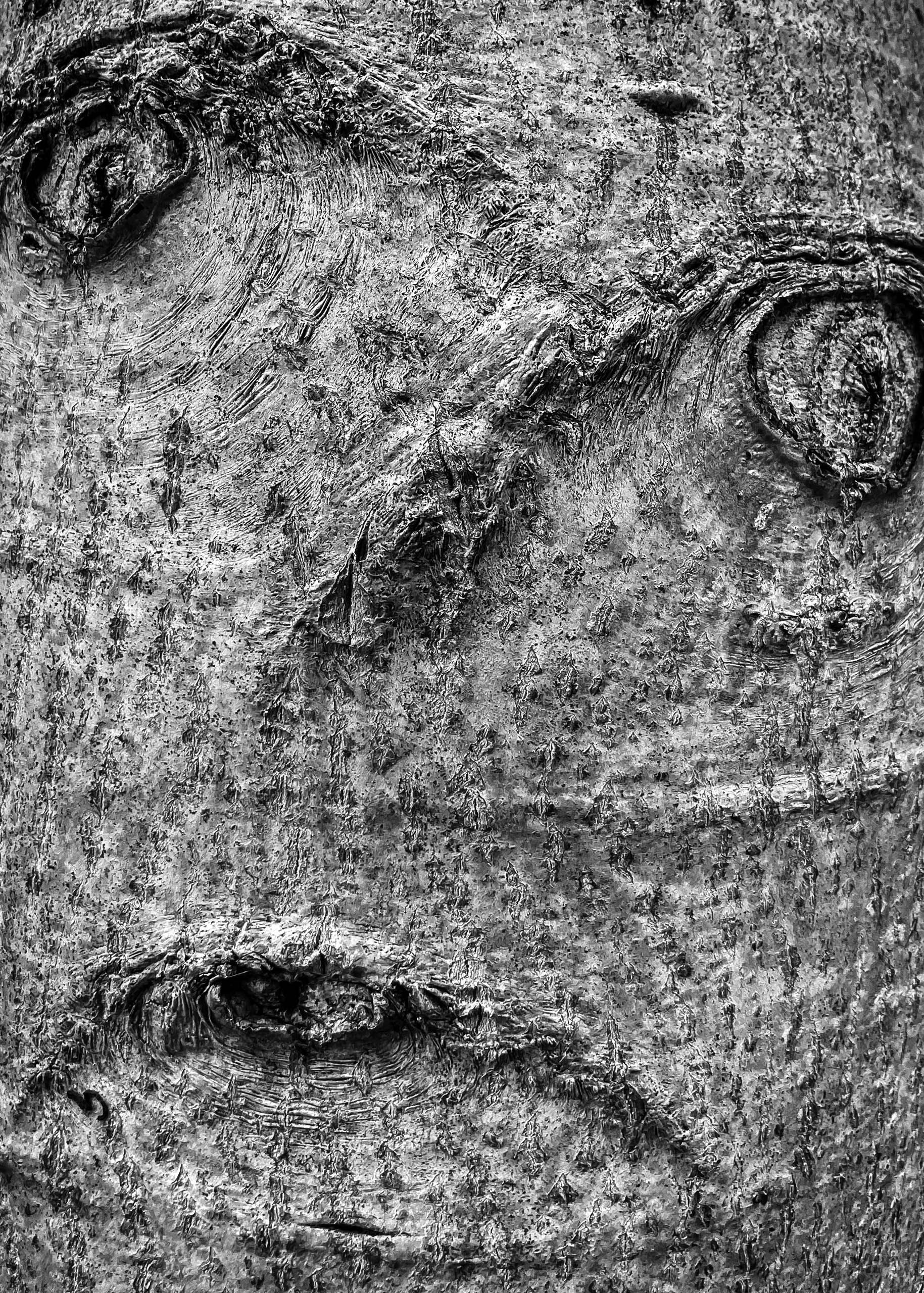waldemarvisuals_website-5218.jpg