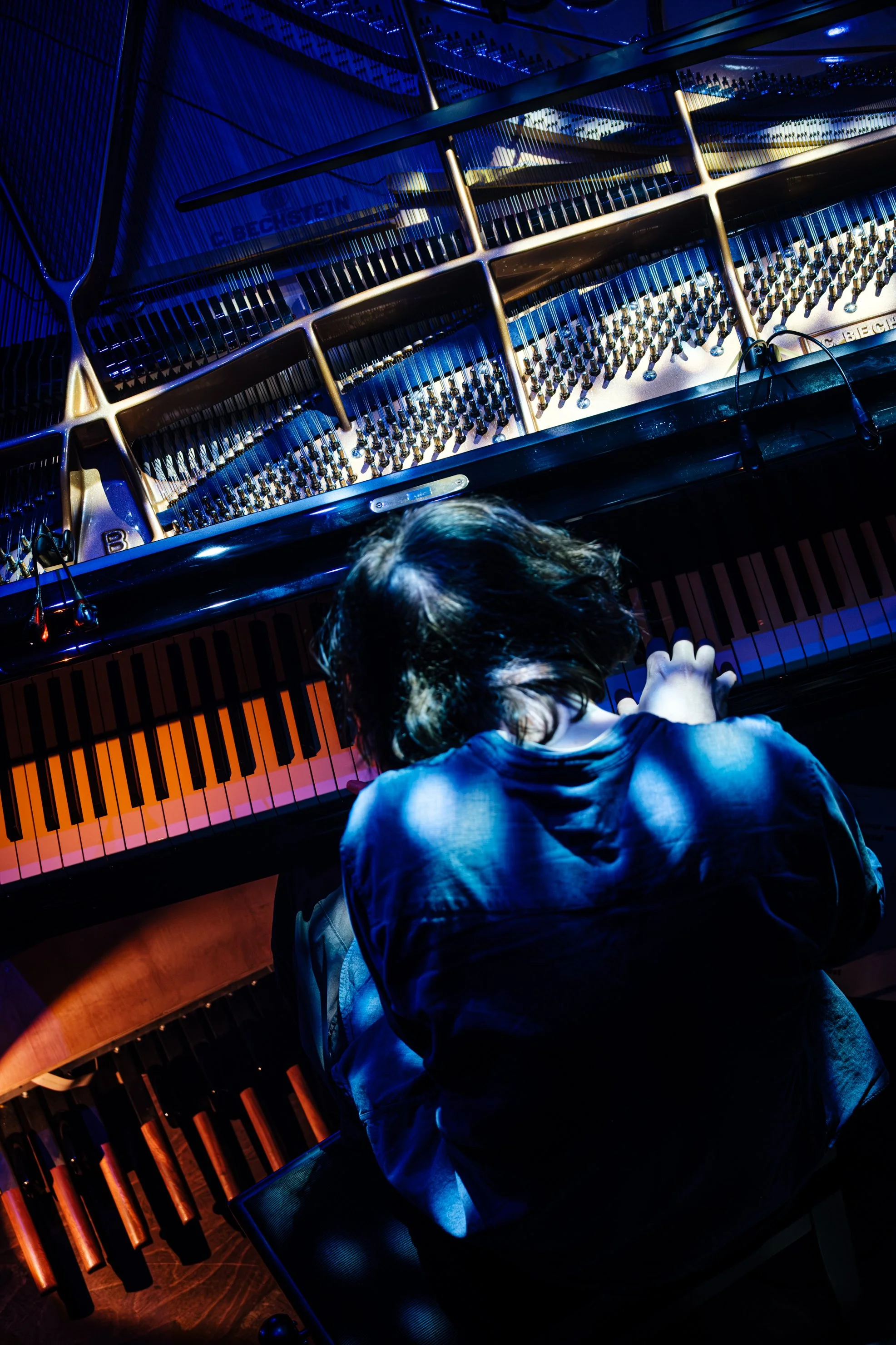 Mammal Hands @ Mojo