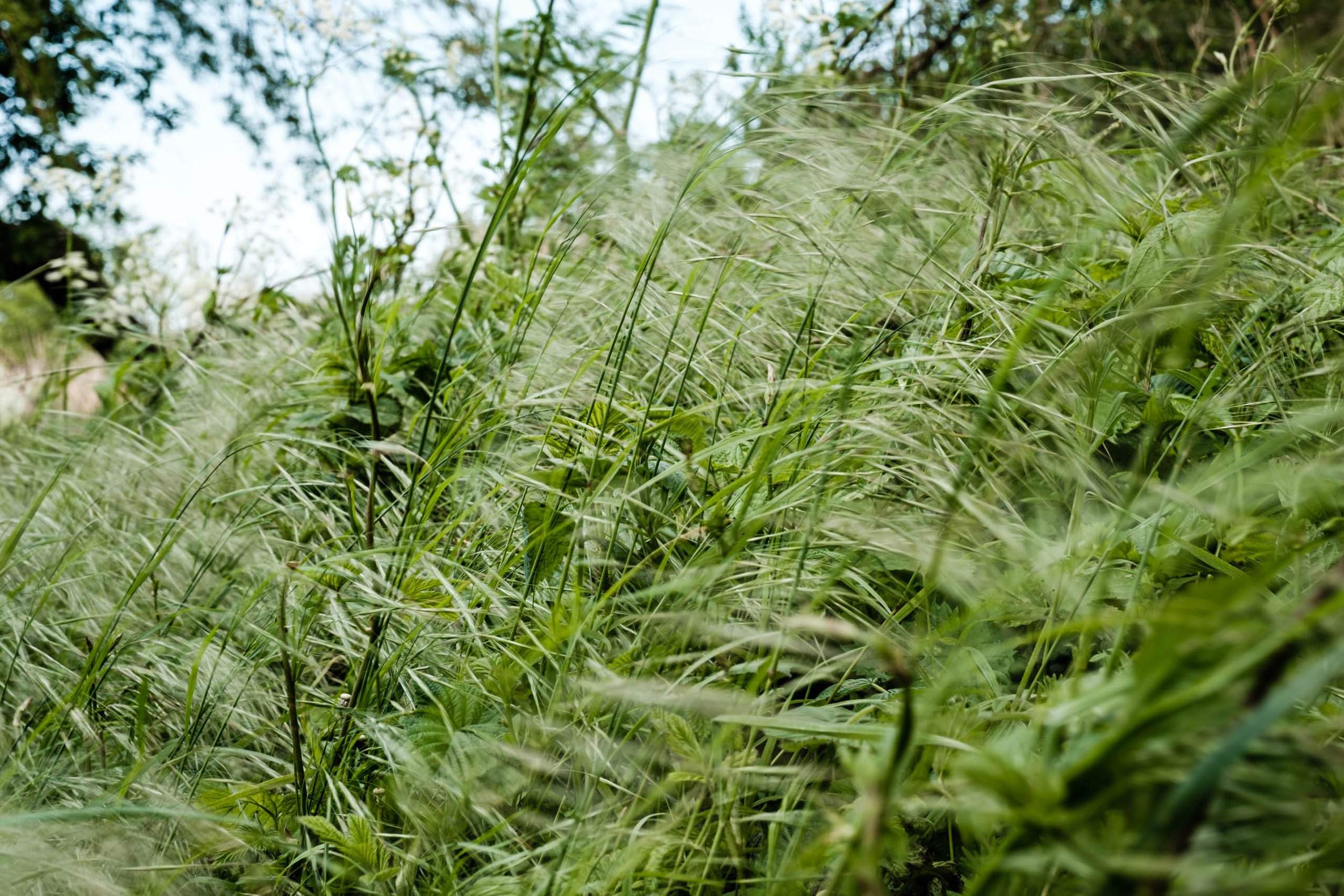 waldemarvisuals_website-2901.jpg