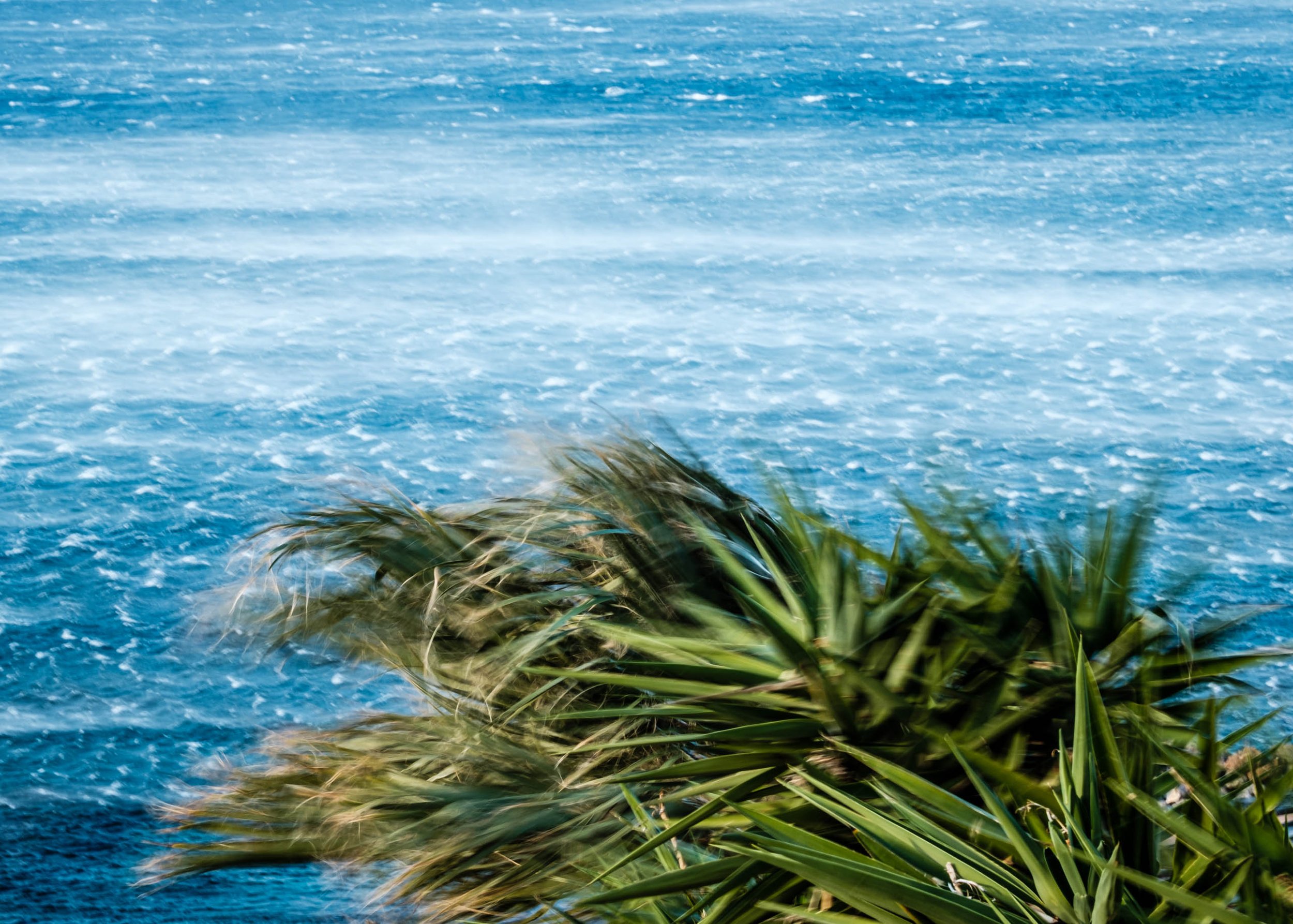 waldemarvisuals_website-5937.jpg