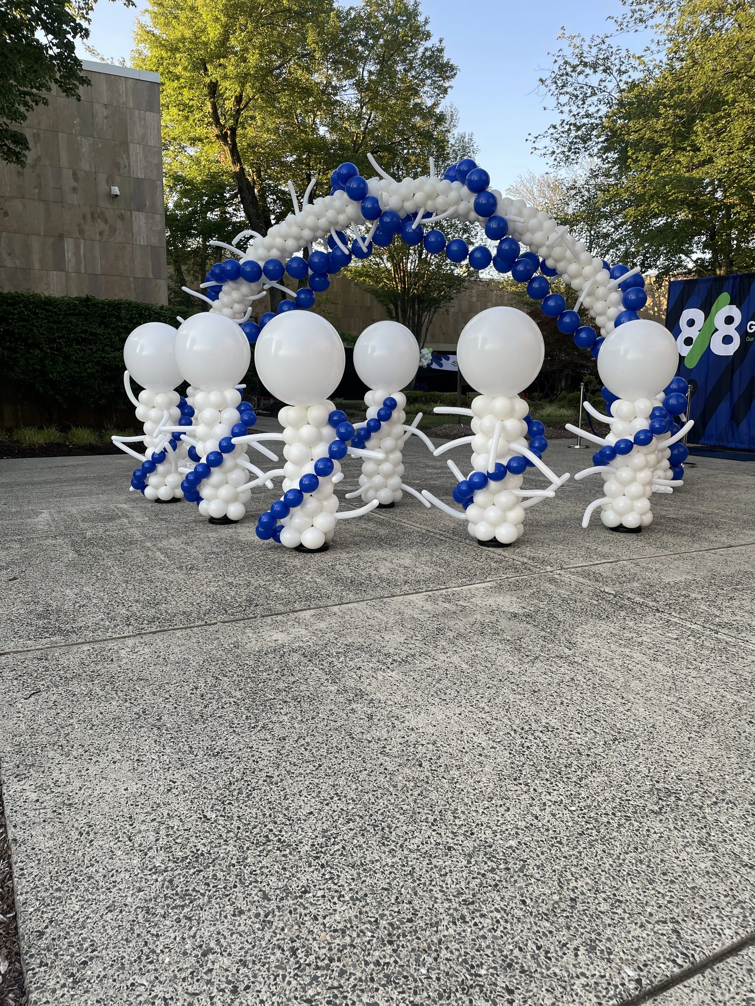 Decorative balloon display with white and blue balloons, arranged in an artistic arch and clusters, situated outdoors on a paved surface, with greenery and trees in the background.