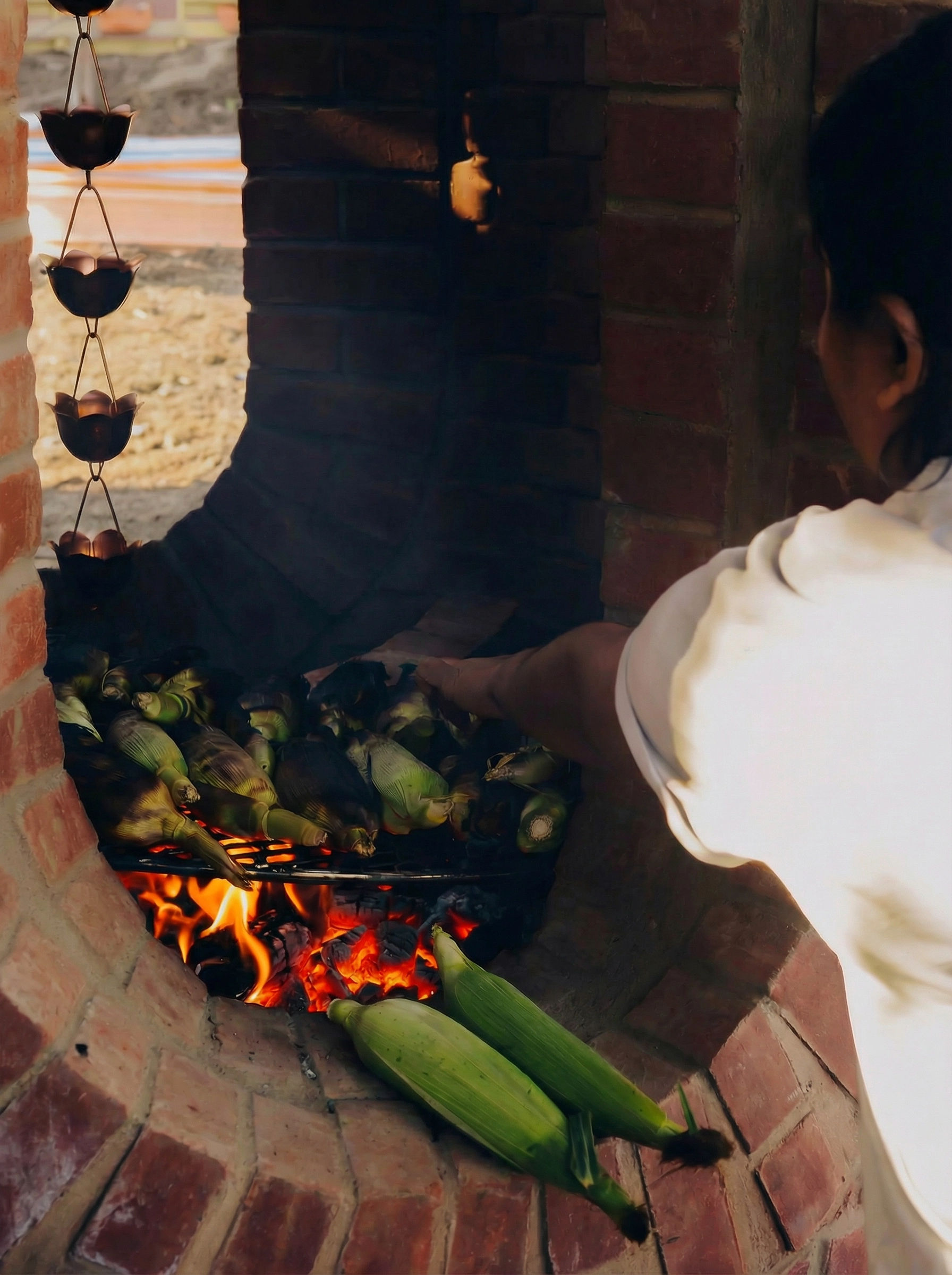 corn_edited_v2.png