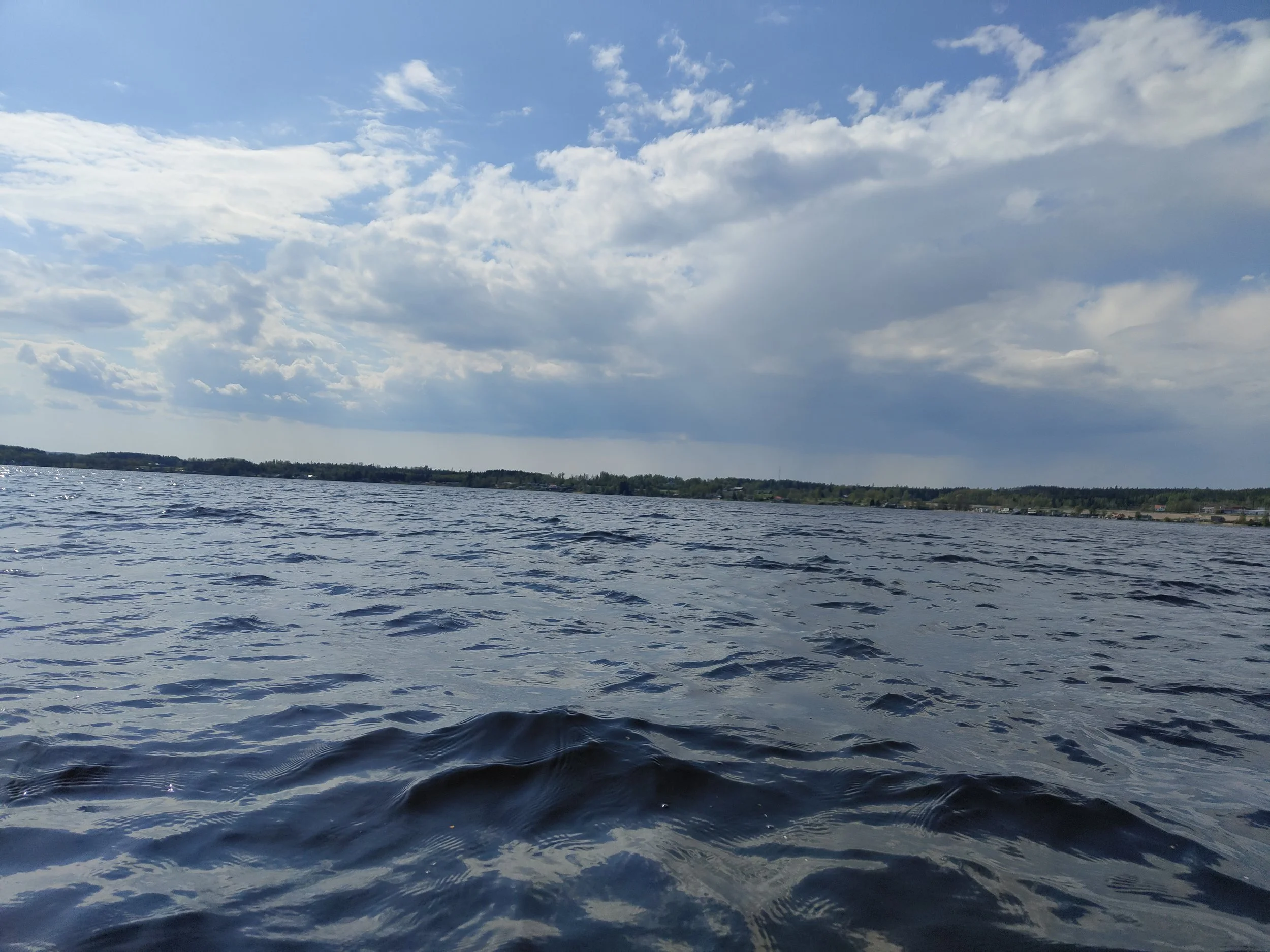 IMG_20230515_145534540.jpg