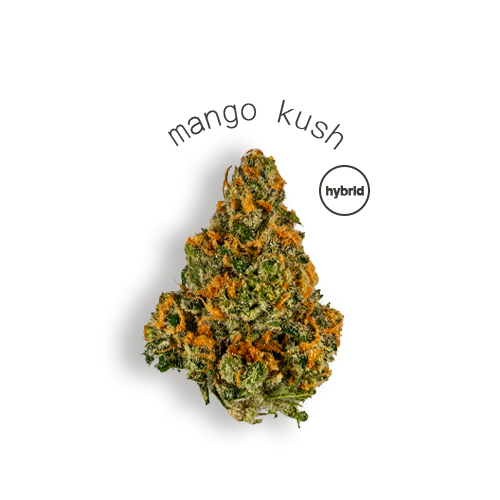 mango kush3.png