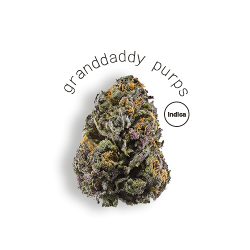 grandaddy purps.png