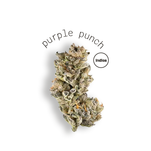 purple punch.png