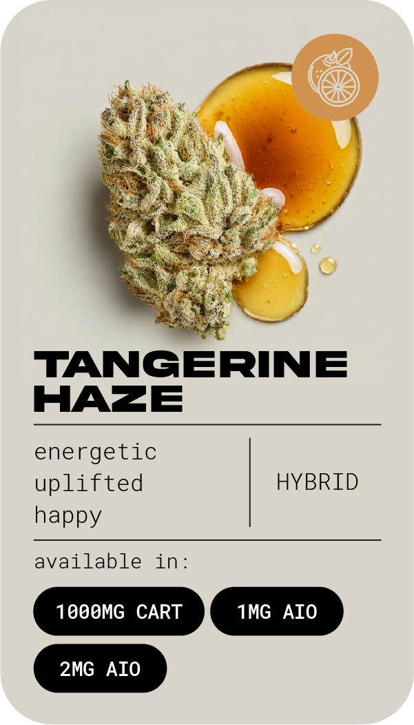 tangerine haze@300x.png