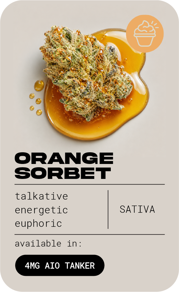 orange sorbet@300x.png