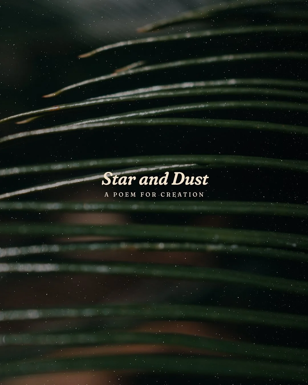 Star and Dust, a poem for creation.
______
Originally written for the worship night last week at @warren_baptist (Grovetown), now sharing with you.
This is my invitation to rejoin God’s creativity.
To seek answers to the perplexing questions