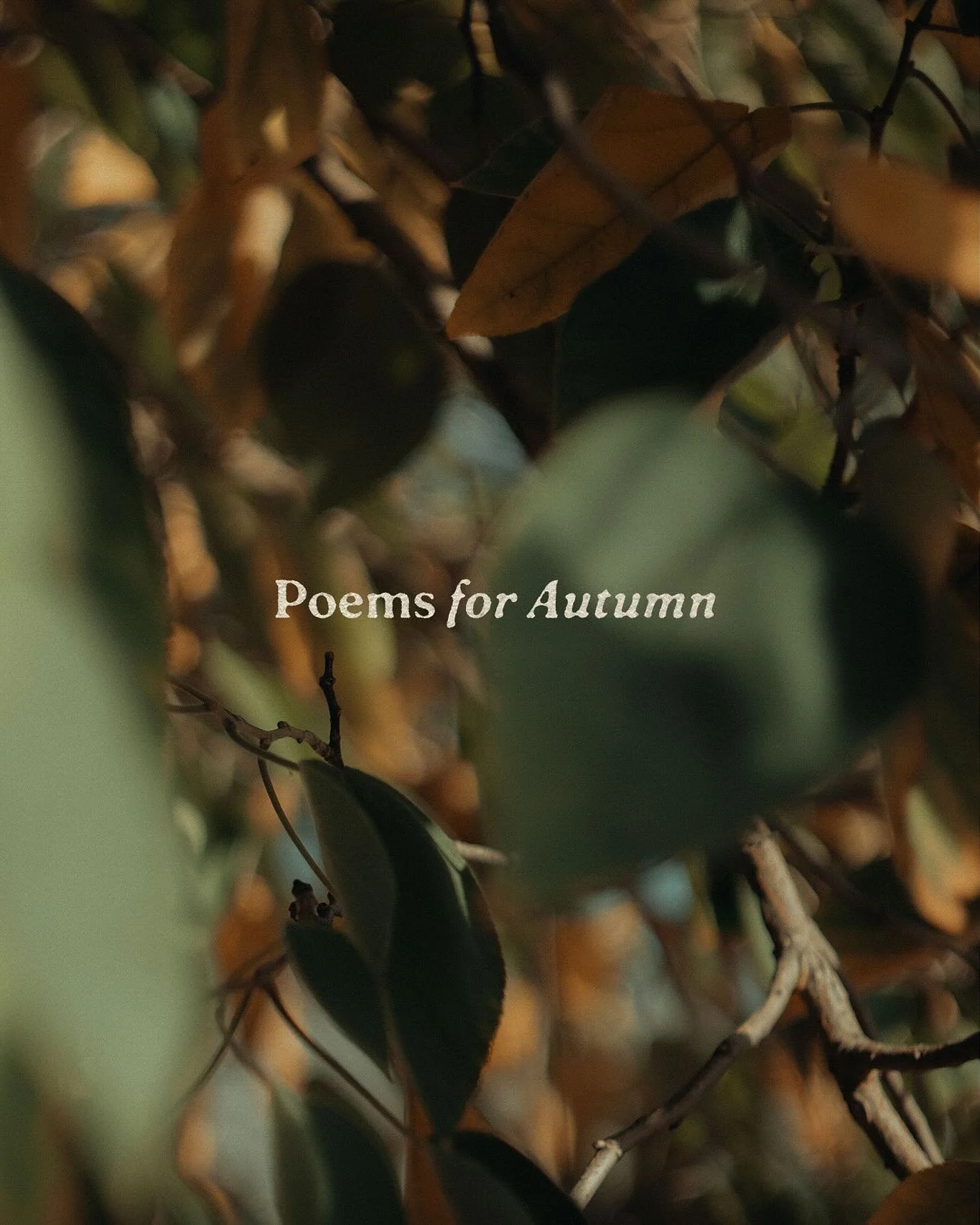 Poems for Autumn 🍂

Some custom poems for strangers and a few signature pieces I&rsquo;ve written myself &rarr;

I&rsquo;m so excited to share that next Saturday for the Augusta Handmade Fair, I will be selling (for the first time) a limited run of 