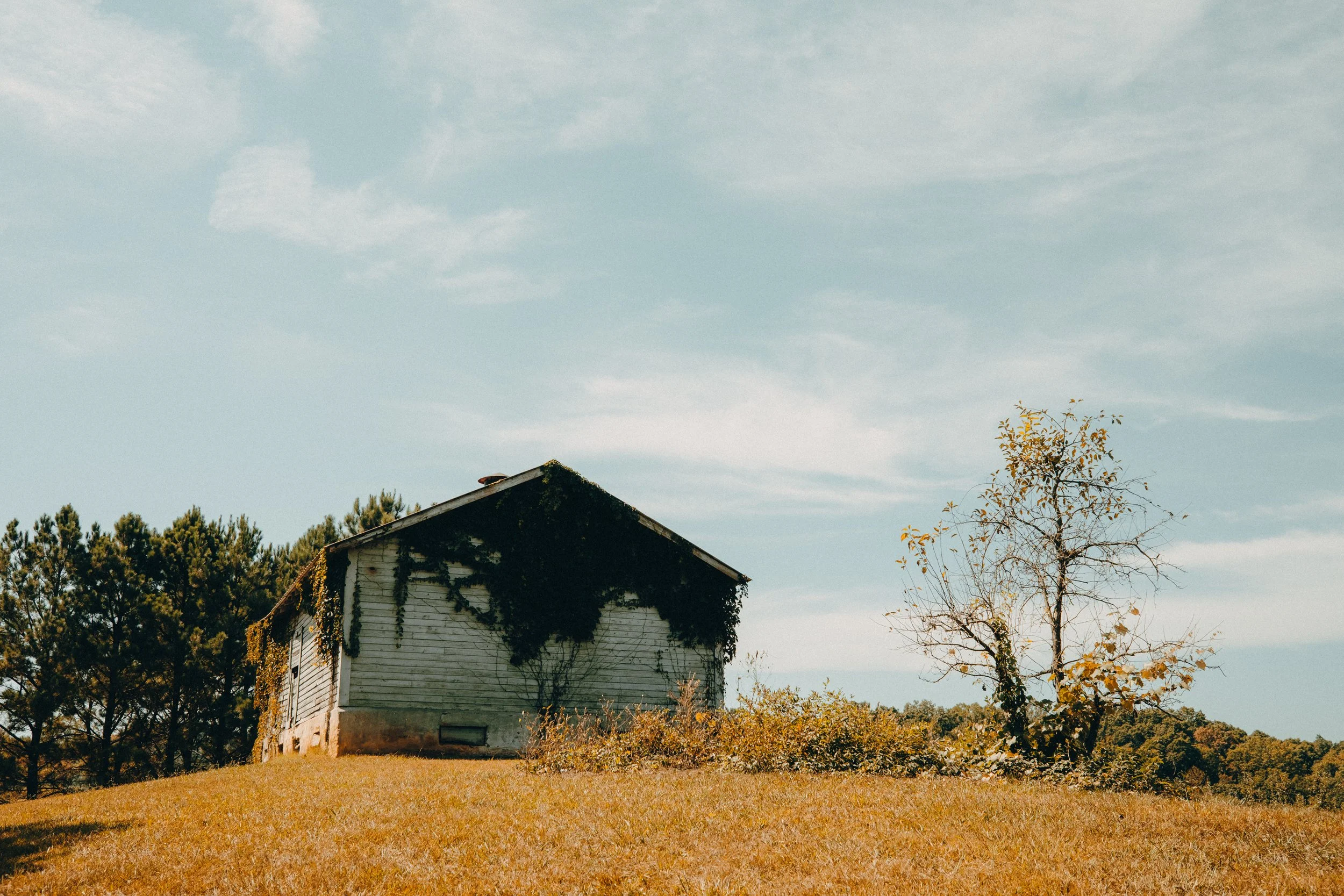 Fine Art Print | Daylight Mercier