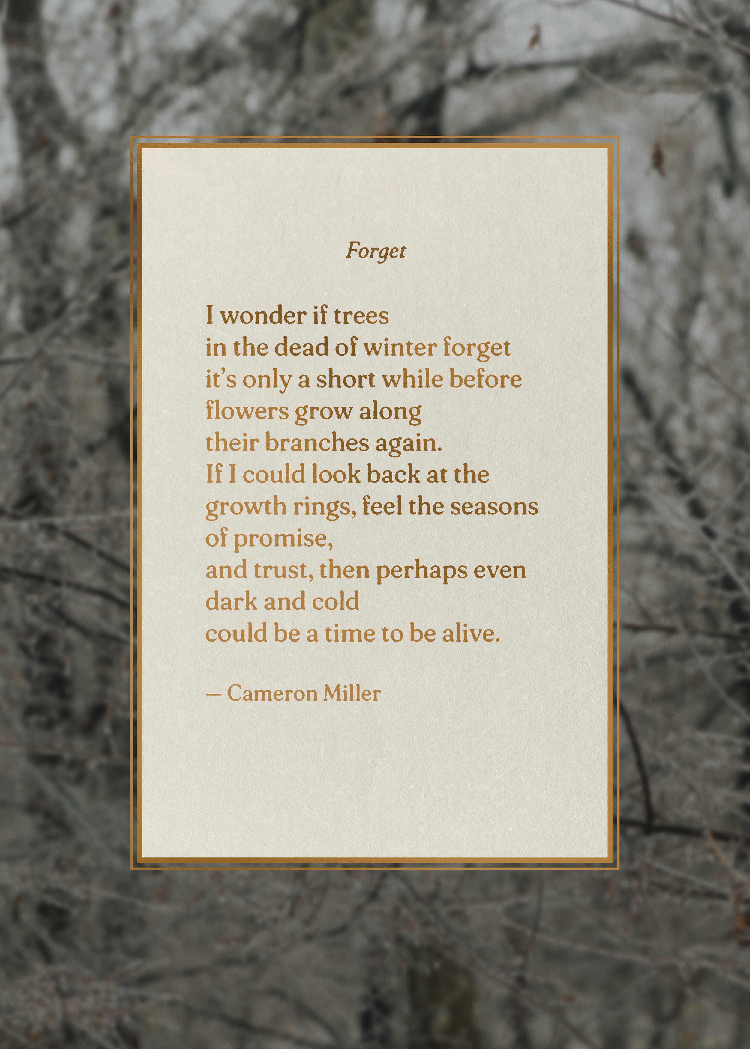 Poetry Print | Forget