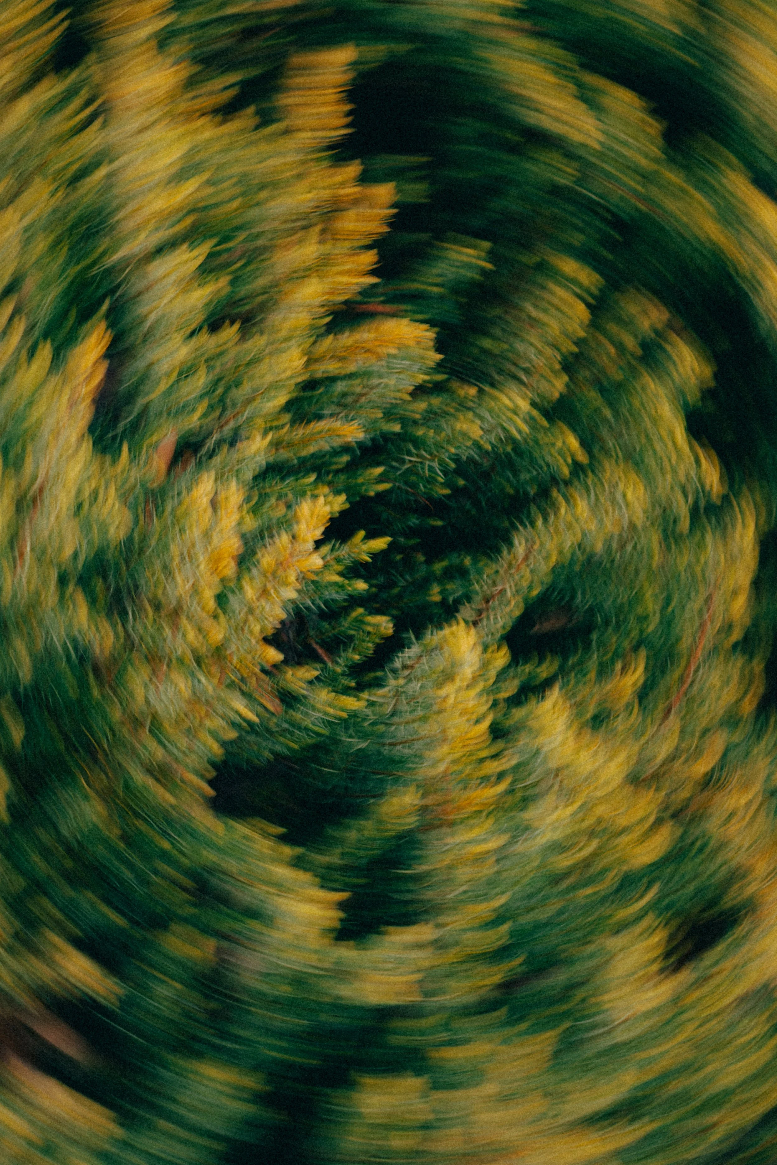 0I8A0198.jpg