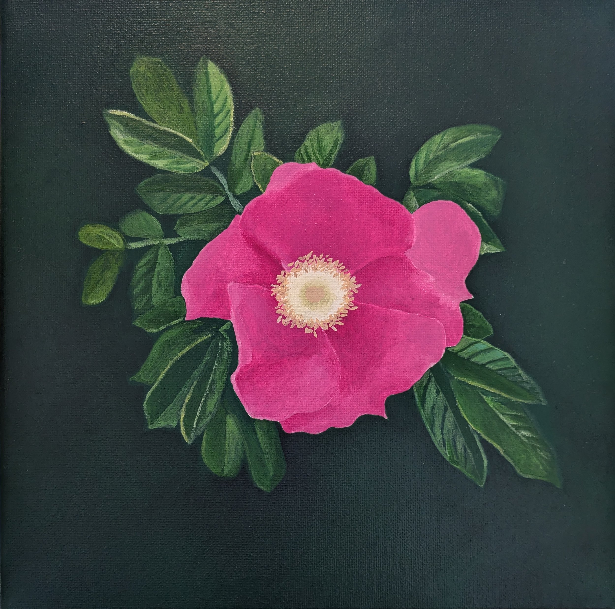 Blossom In The Dark